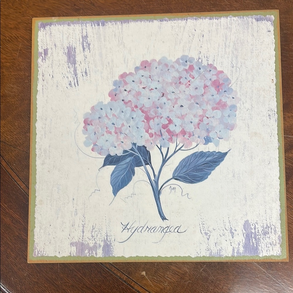 Hydrangea Floral Wall Art - Pink & Blue 8 x 8